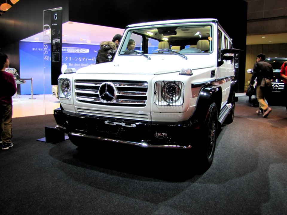 Mercedes-Benz G-Klasse (W463)