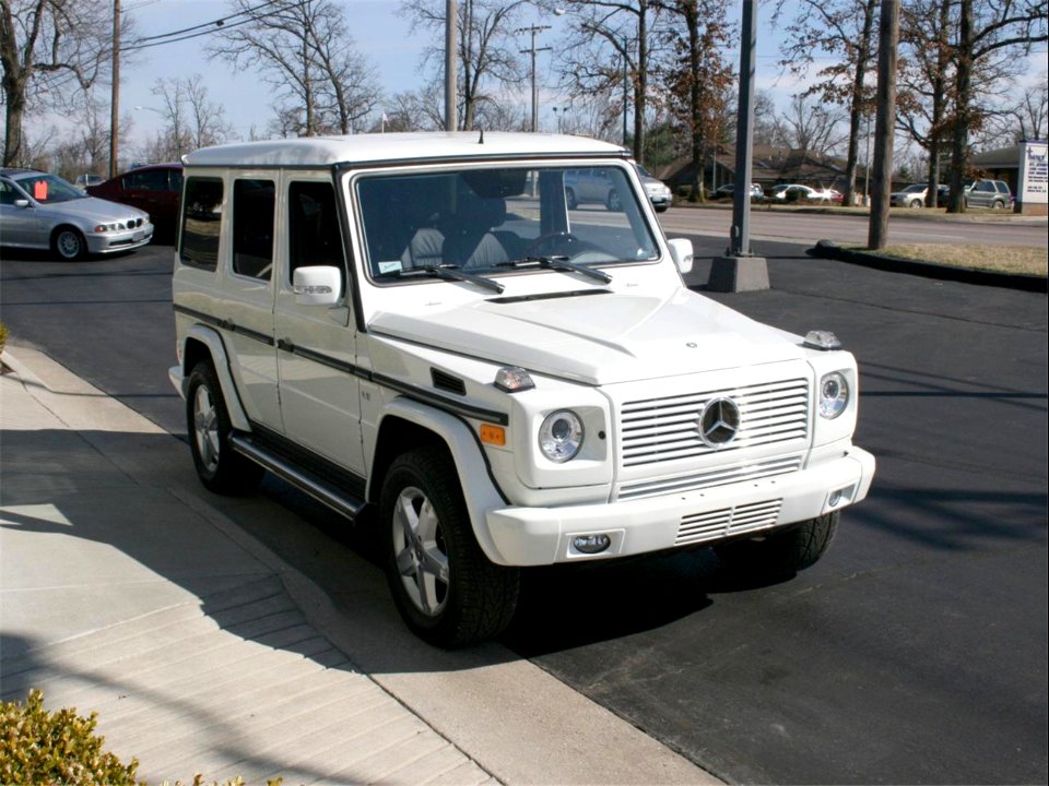 Mercedes-Benz G-Klasse (W463)