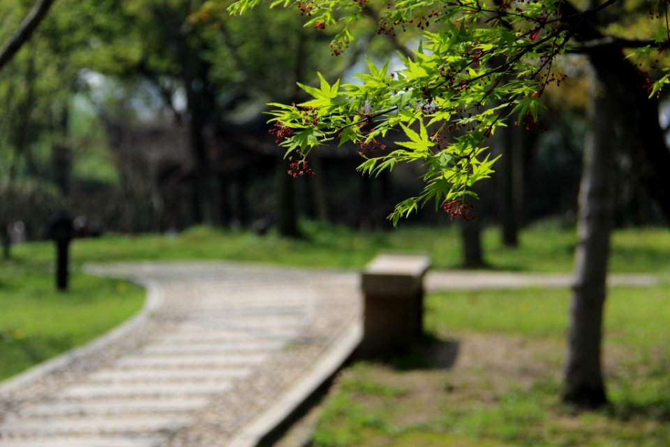 蘇州 寒山寺(春) Hanshan Temple, Suzhou China 20140330 34