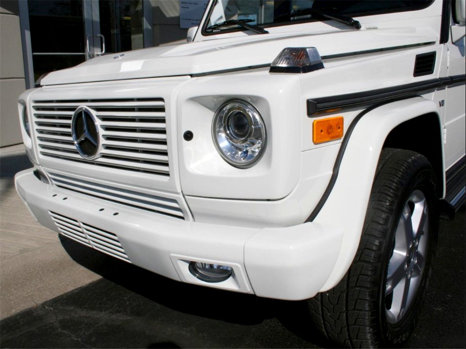 Mercedes-Benz G-Klasse (W463)