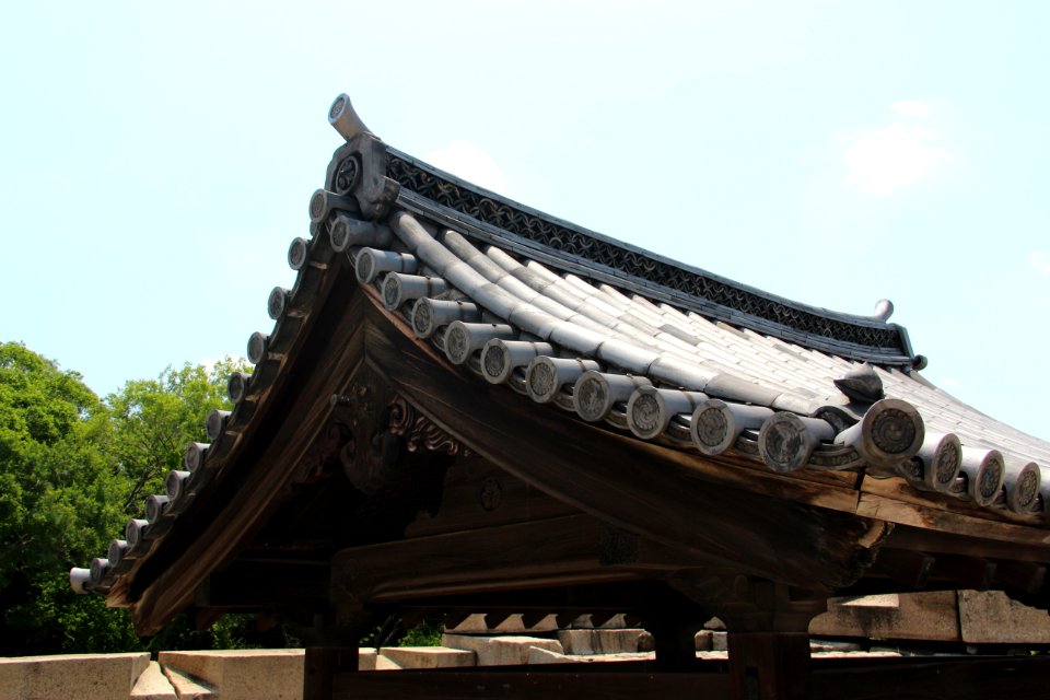 日本 京都大阪5日遊 20140622 0804