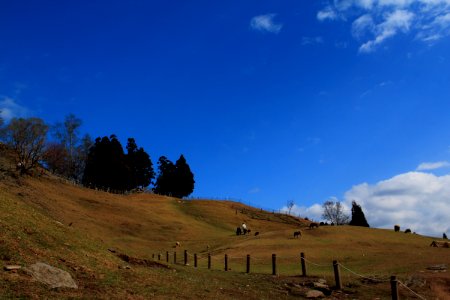 2015 春節旅遊 20150224 222