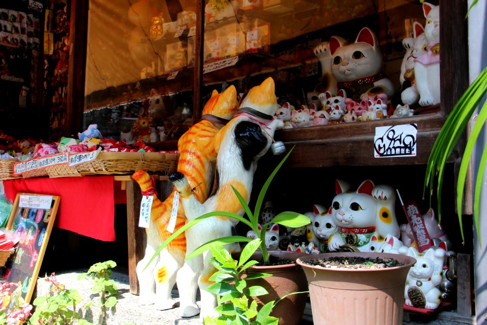日本 京都大阪5日遊 20140622 0487