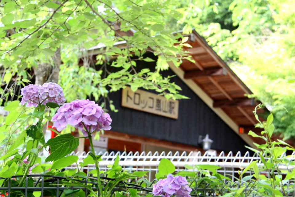 日本 京都大阪5日遊 20140622 0145