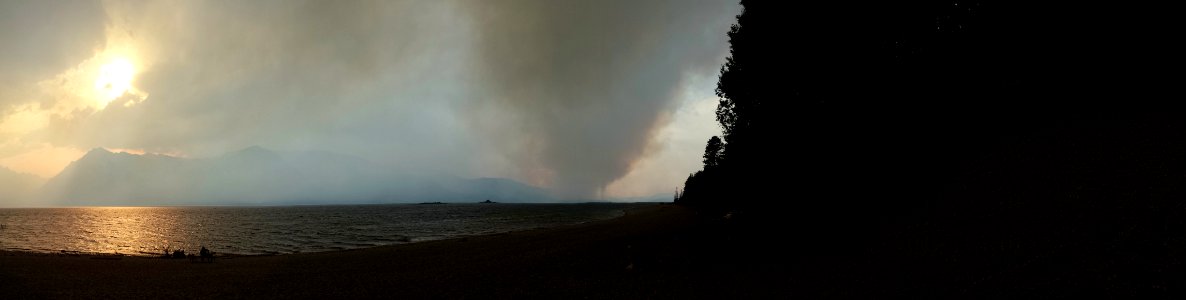 forest fire