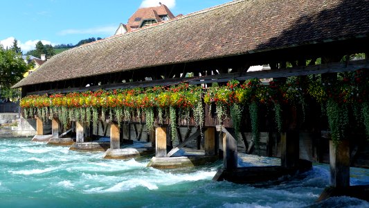 Thun (3)