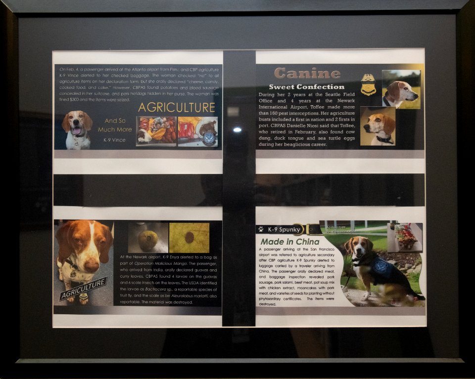 20190405-OSEC-LSC-0153
