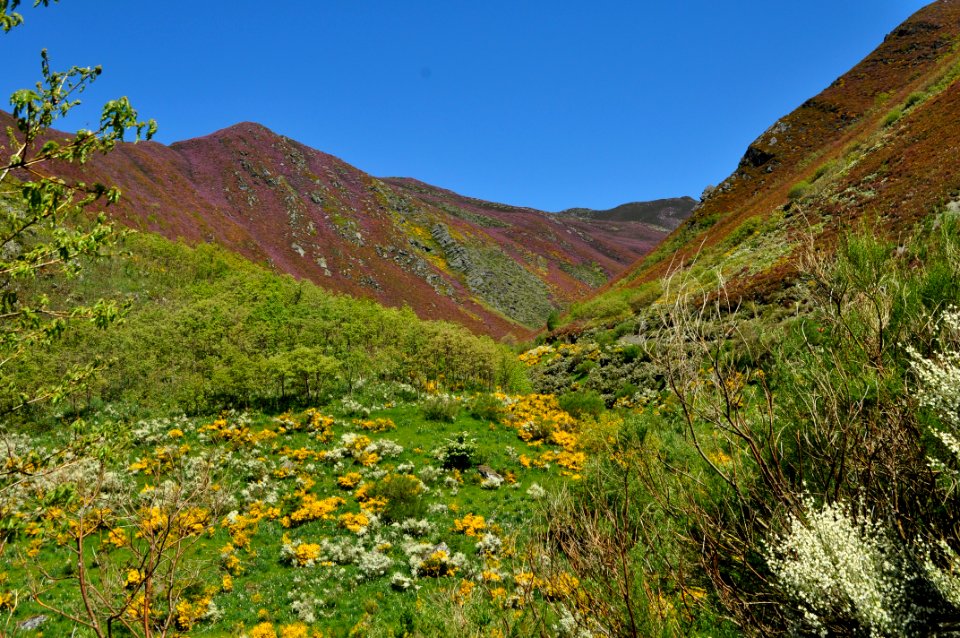 Valle del arroyo de Couso
