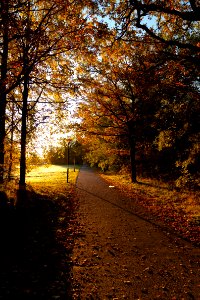 On my way to work #2