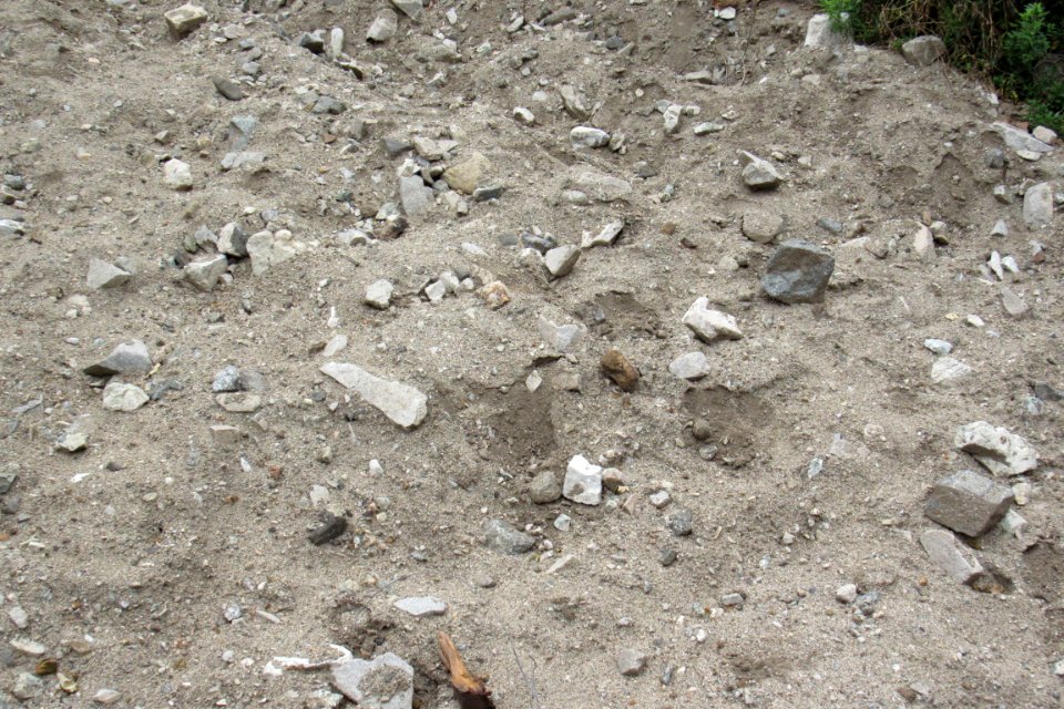 IMG 0022