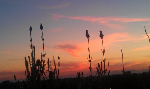 Sky horizon sun
