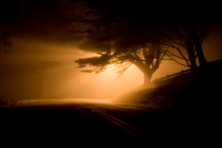 Shafts of light fog eerie photo