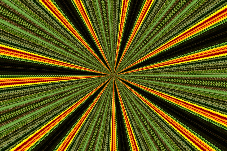 DSC 00233