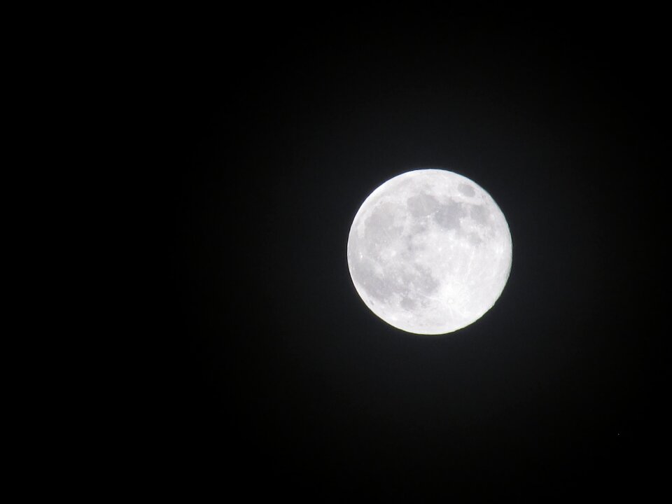 Midnight moon black and white