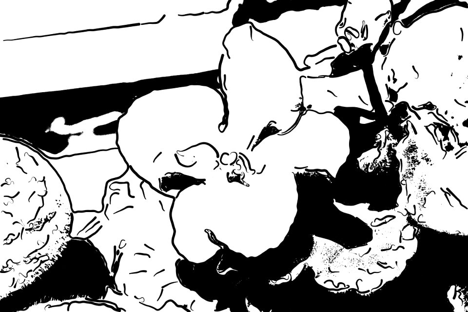 Line art