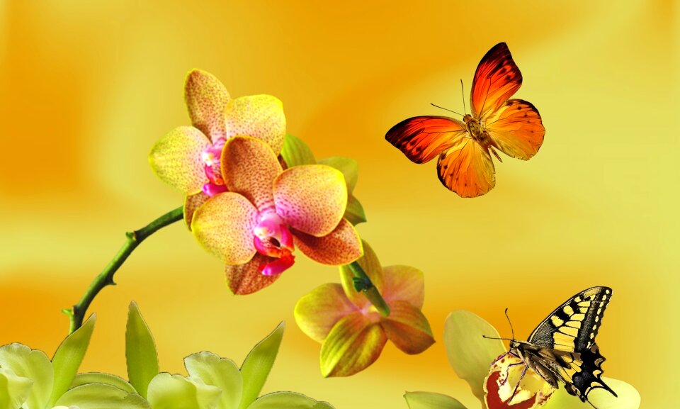Nature spring garden