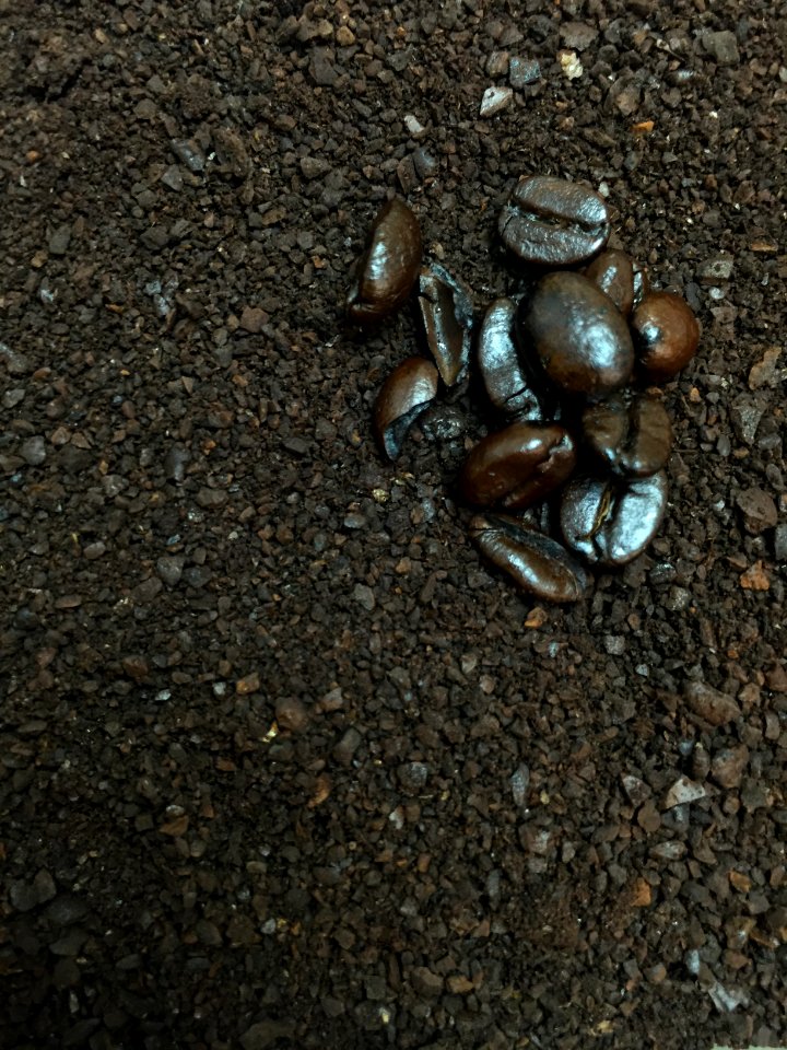 Ground Coffee Beans