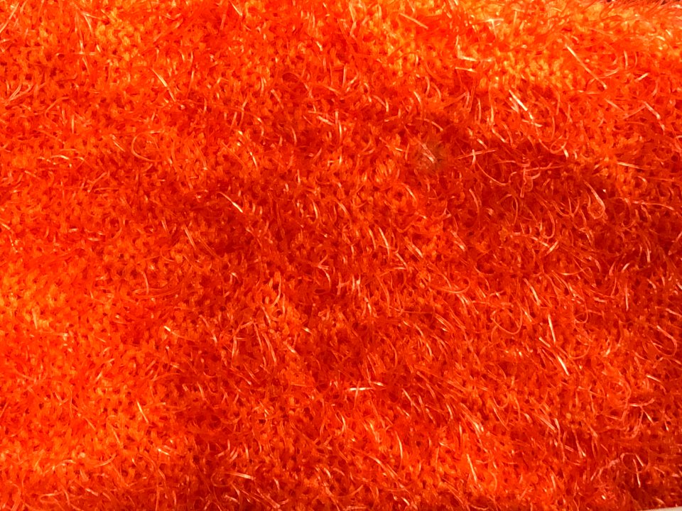 Orange scrub brush photo