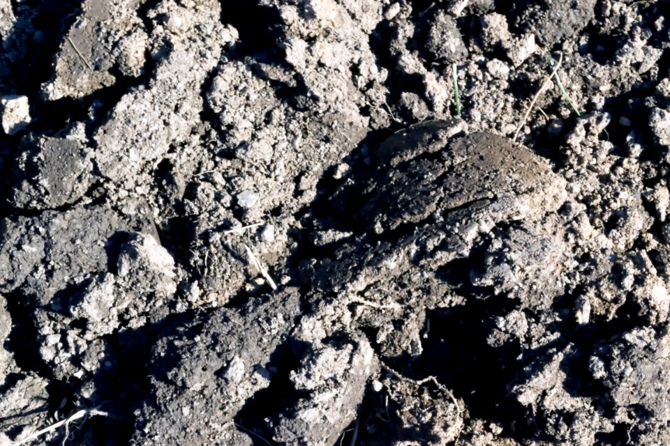 earth digging