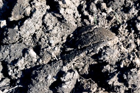 earth digging