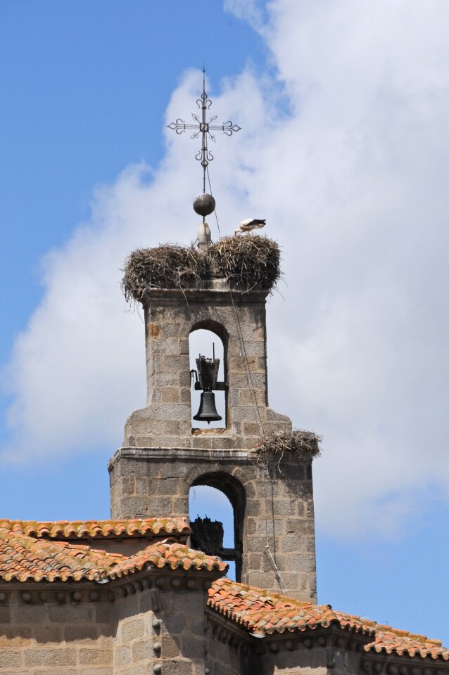 Nest construction spain photo