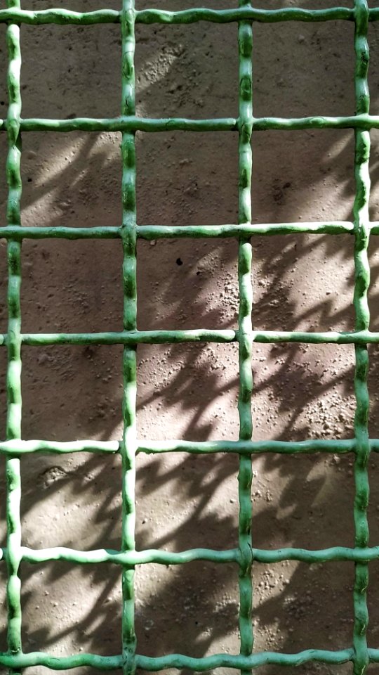 Experimentações em fotografias com celular