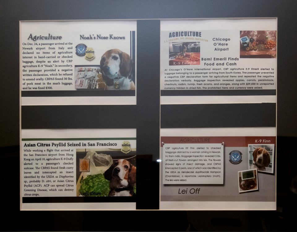 20190405-OSEC-LSC-0154