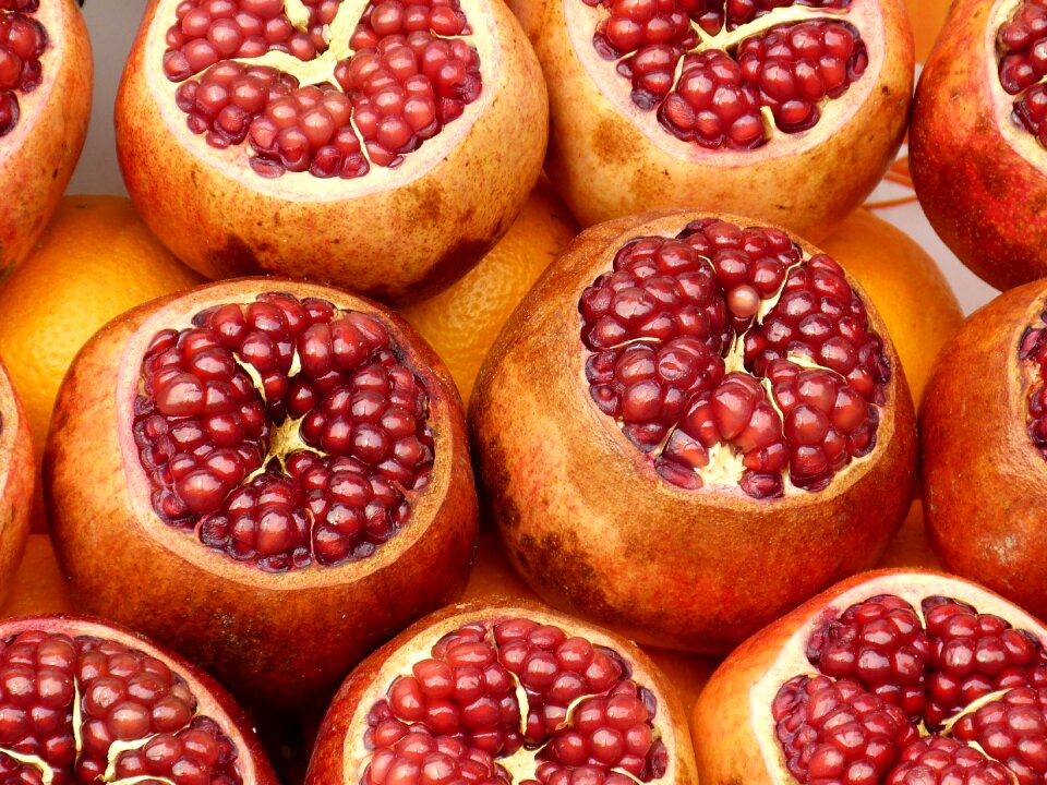 Turkey fruit pomegranate