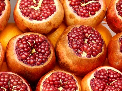 Turkey fruit pomegranate photo