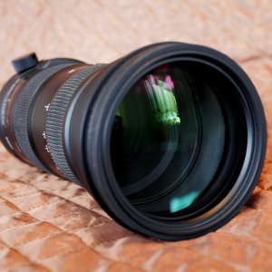 SIGMA 150-600 BALLANTI 3