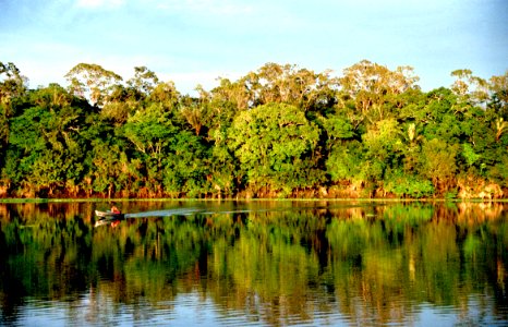 Amazonia, Brasil