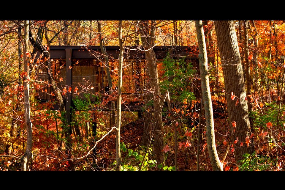the garage from "Ferris Bueller's Day Off"