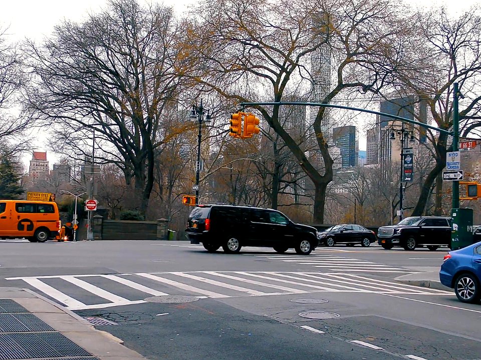 New York City  |  Central Park