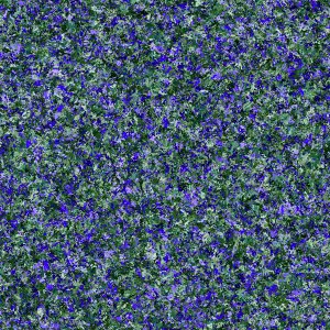 texture