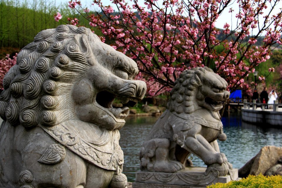 蘇州 白馬澗生態園 White Stream Ecological Park 20150411 10