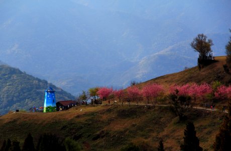 2015 春節旅遊 20150224 227