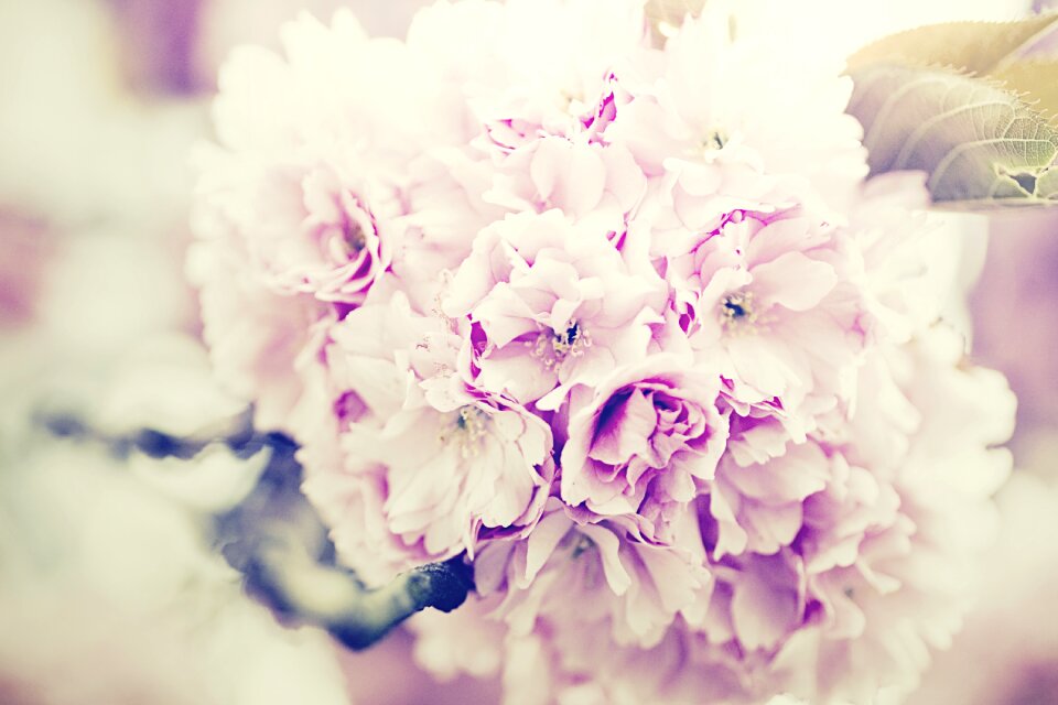 Purple bouquet floral