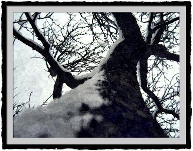 FotoSketcher - IMG 5035.JPG