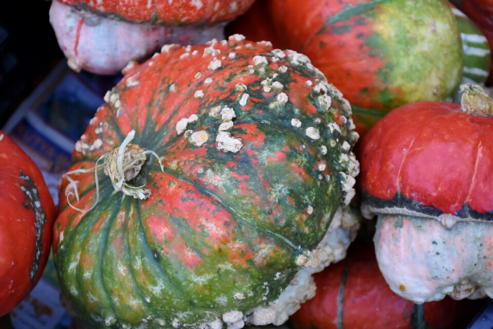 Decoration autumn motive structure