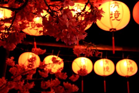 2015 春節旅遊 20150224 181