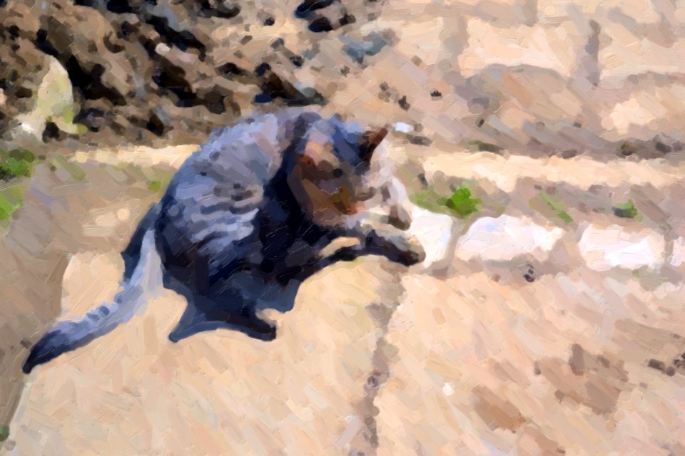 Paintings