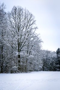 Schneelandschaft photo