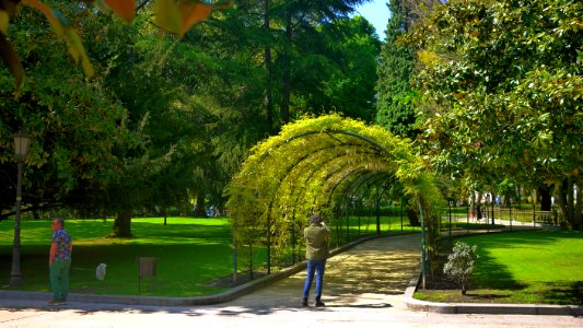 Parque de San Francisco