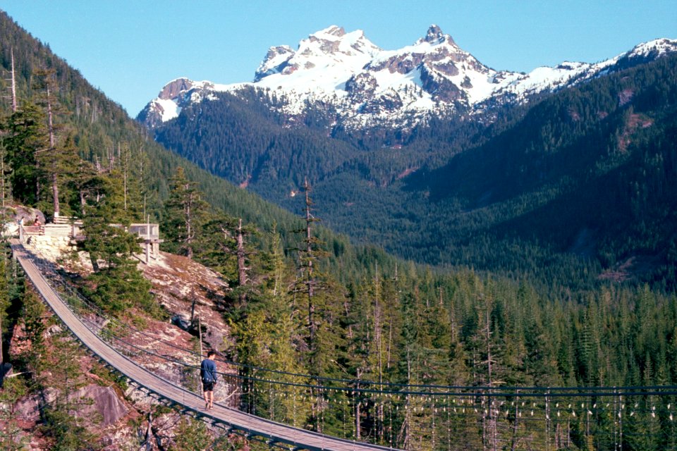 Suspension Bridge with Mountains
