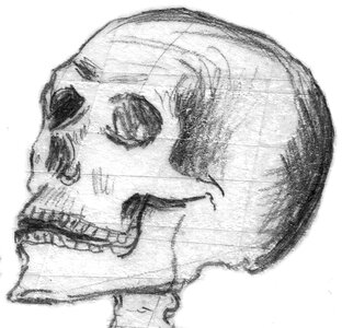 Skull and crossbones weird dead photo