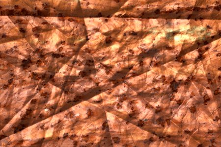 crinkly textures