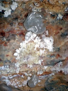 Hydromagnesite cave balloons (Jewel Cave, Black Hills, South Dakota, USA) 3 photo