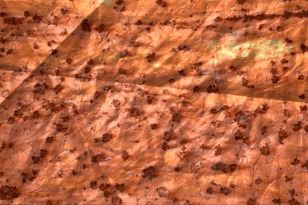 crinkly textures