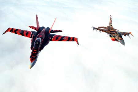 CF-18 Tiger Bird