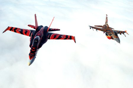 CF-18 Tiger Bird photo